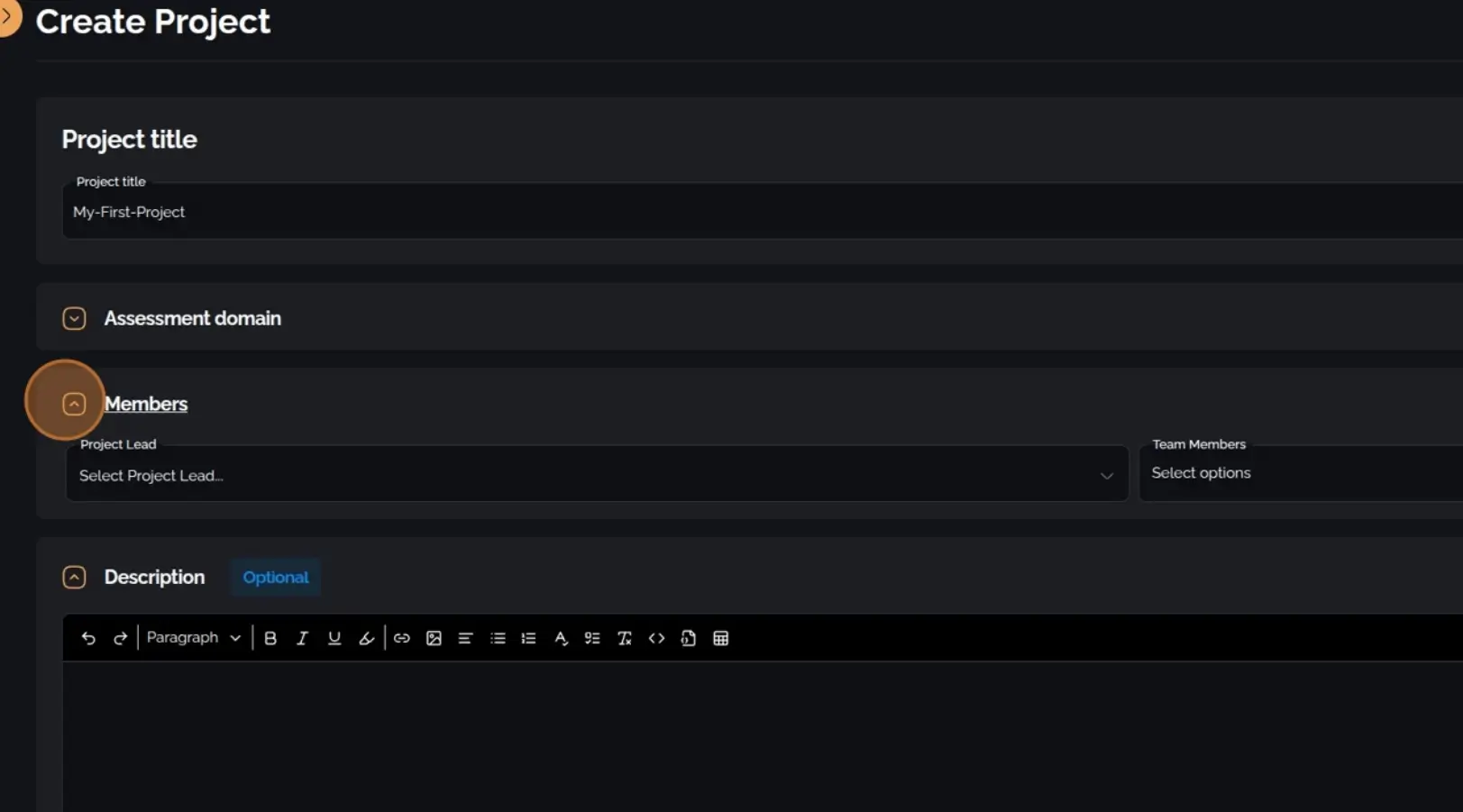Options for assigning project lead and team members